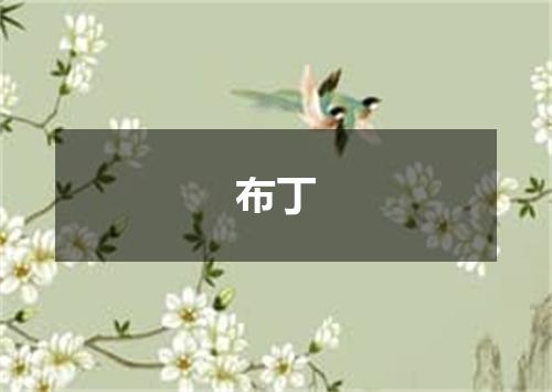 布丁