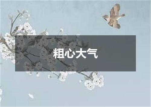 粗心大气