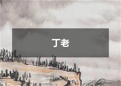 丁老