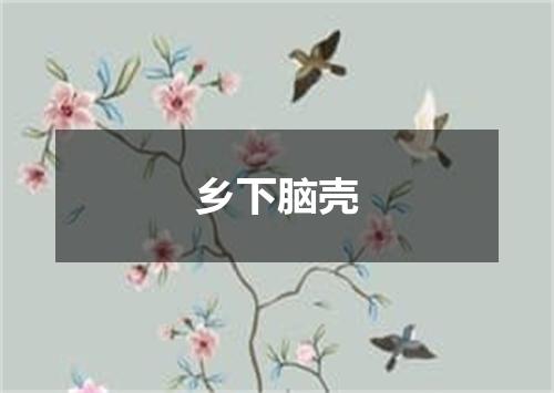 乡下脑壳