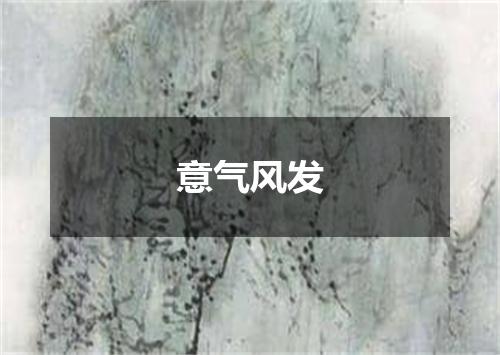 意气风发
