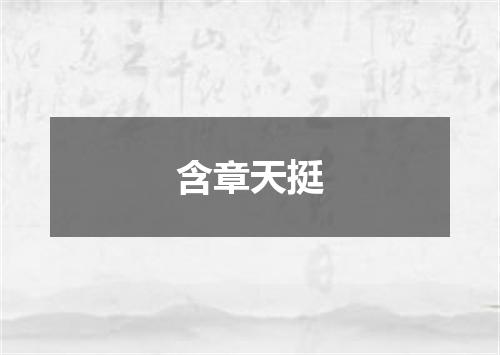含章天挺