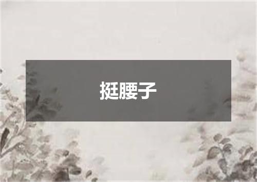 挺腰子
