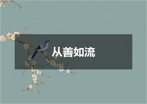 从善如流