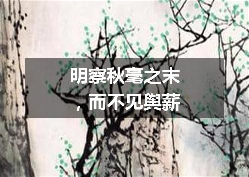 明察秋毫之末，而不见舆薪