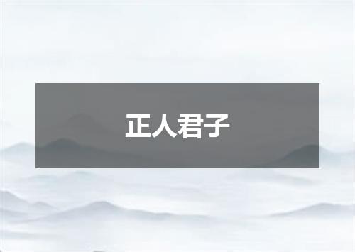 正人君子