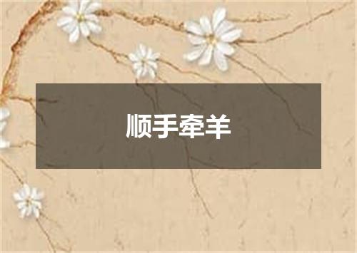 顺手牵羊