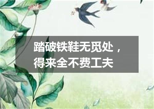 踏破铁鞋无觅处，得来全不费工夫