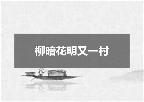 柳暗花明又一村