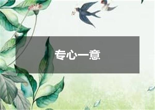 专心一意