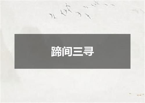 蹄间三寻