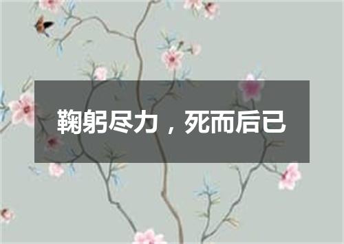 鞠躬尽力，死而后已