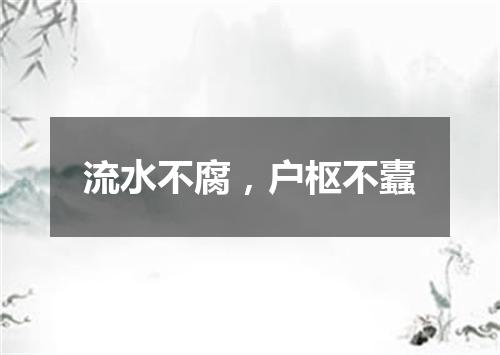 流水不腐，户枢不蠹