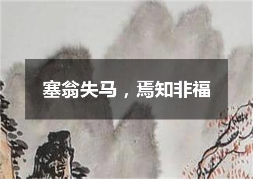 塞翁失马，焉知非福