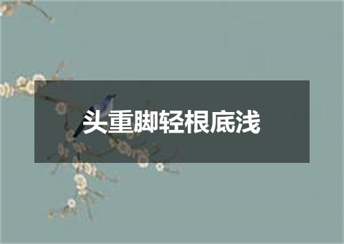 头重脚轻根底浅