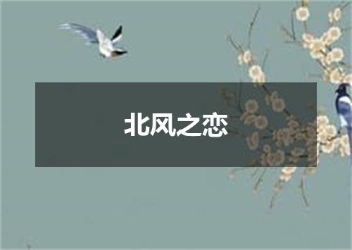 北风之恋