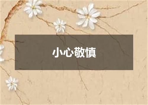 小心敬慎