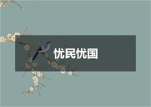 忧民忧国