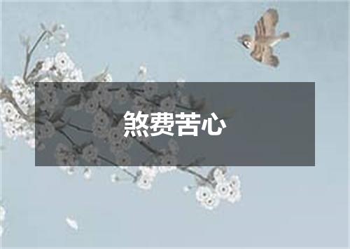 煞费苦心