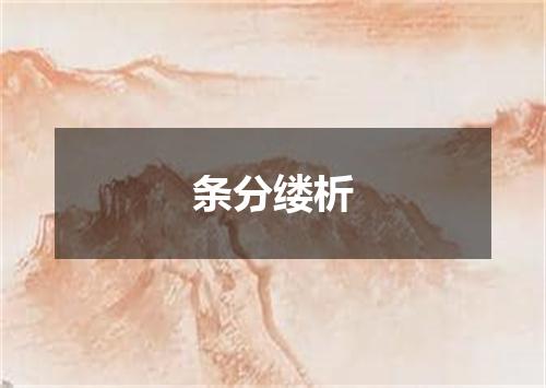 条分缕析