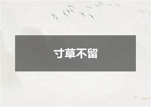 寸草不留