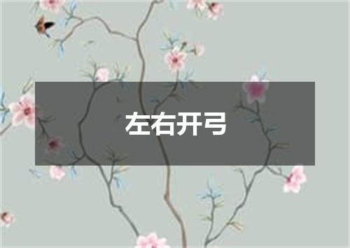左右开弓