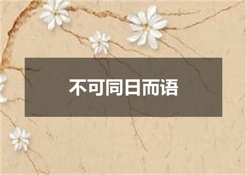 不可同日而语