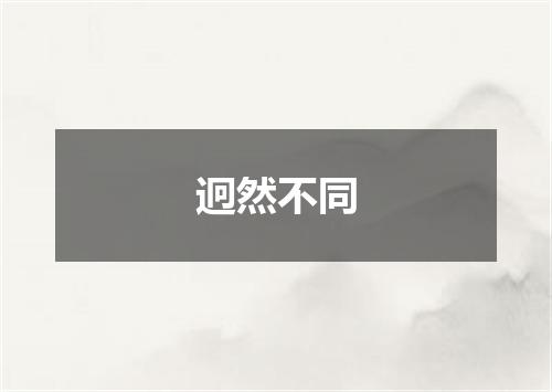 迥然不同