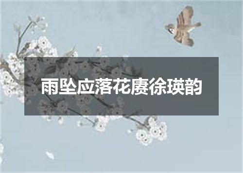 雨坠应落花赓徐瑛韵