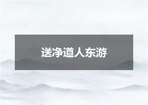 送净道人东游