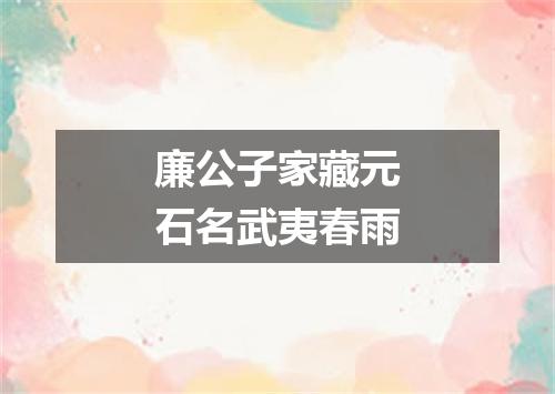 廉公子家藏元石名武夷春雨