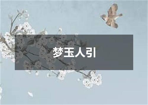 梦玉人引
