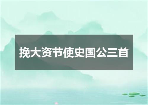 挽大资节使史国公三首