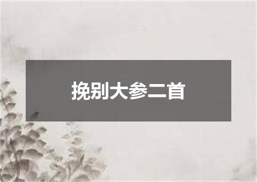 挽别大参二首