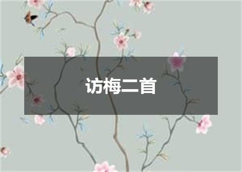 访梅二首