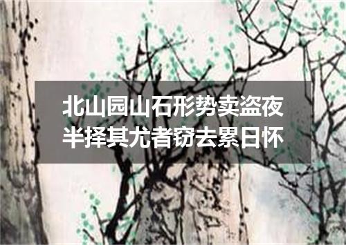 北山园山石形势卖盗夜半择其尤者窃去累日怀
