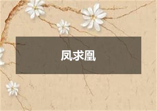 凤求凰