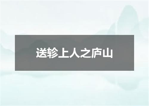 送轸上人之庐山