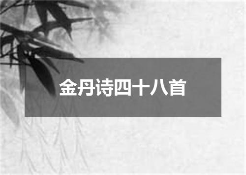 金丹诗四十八首