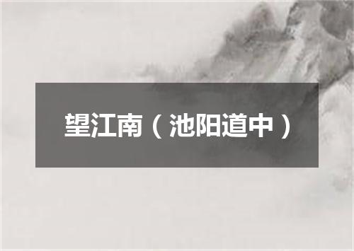 望江南（池阳道中）
