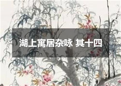 湖上寓居杂咏 其十四