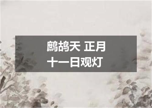 鹧鸪天 正月十一日观灯