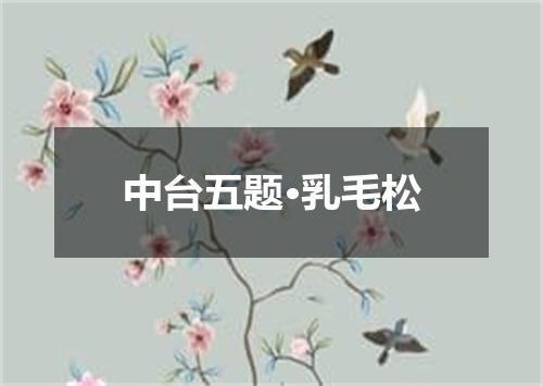 中台五题·乳毛松