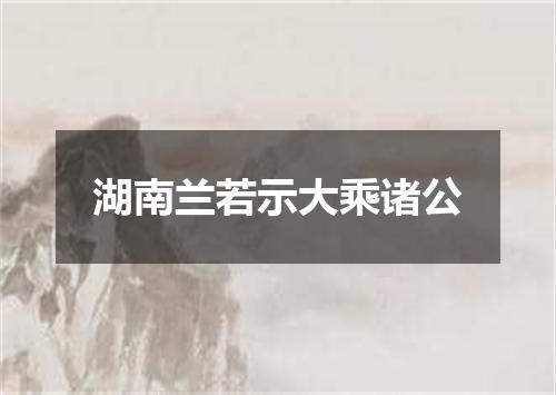 湖南兰若示大乘诸公