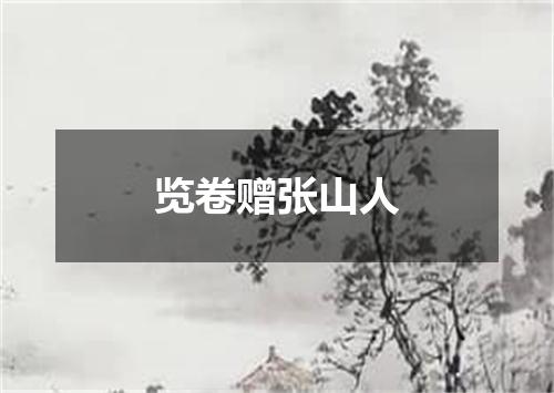 览卷赠张山人