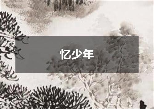忆少年
