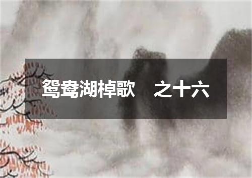 鸳鸯湖棹歌　之十六