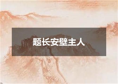 题长安壁主人