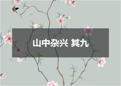 山中杂兴 其九