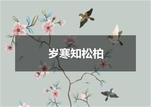 岁寒知松柏